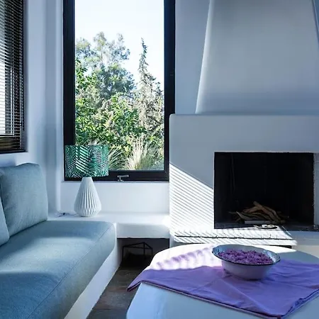 Danae's Art Apartment Athens